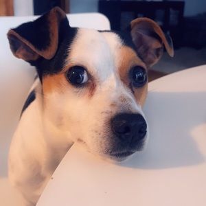 Meet your Posher, Alma